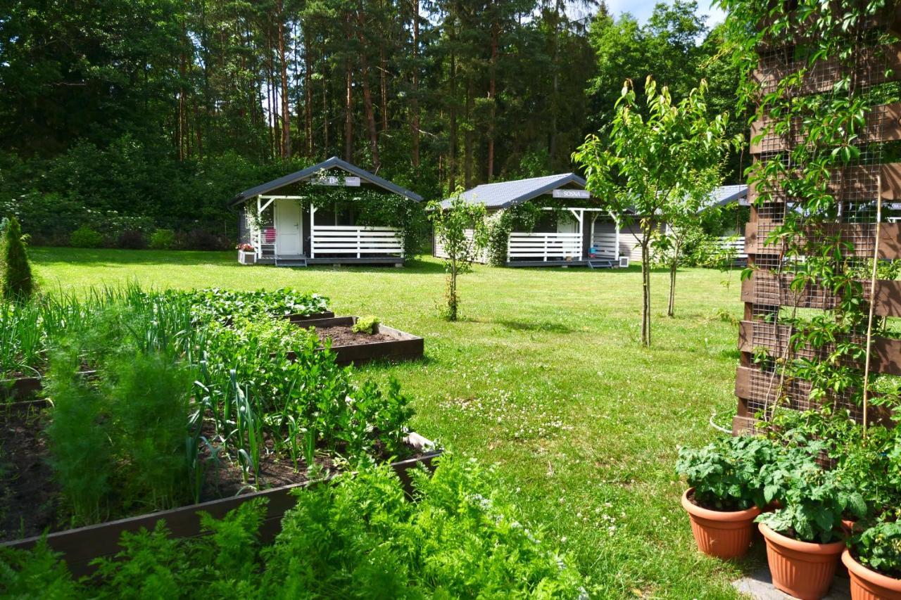 Przylesie21 Villa Ustka Luaran gambar